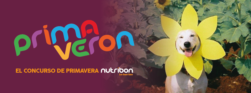 concurso primaveron nutribon alimento para mascotas