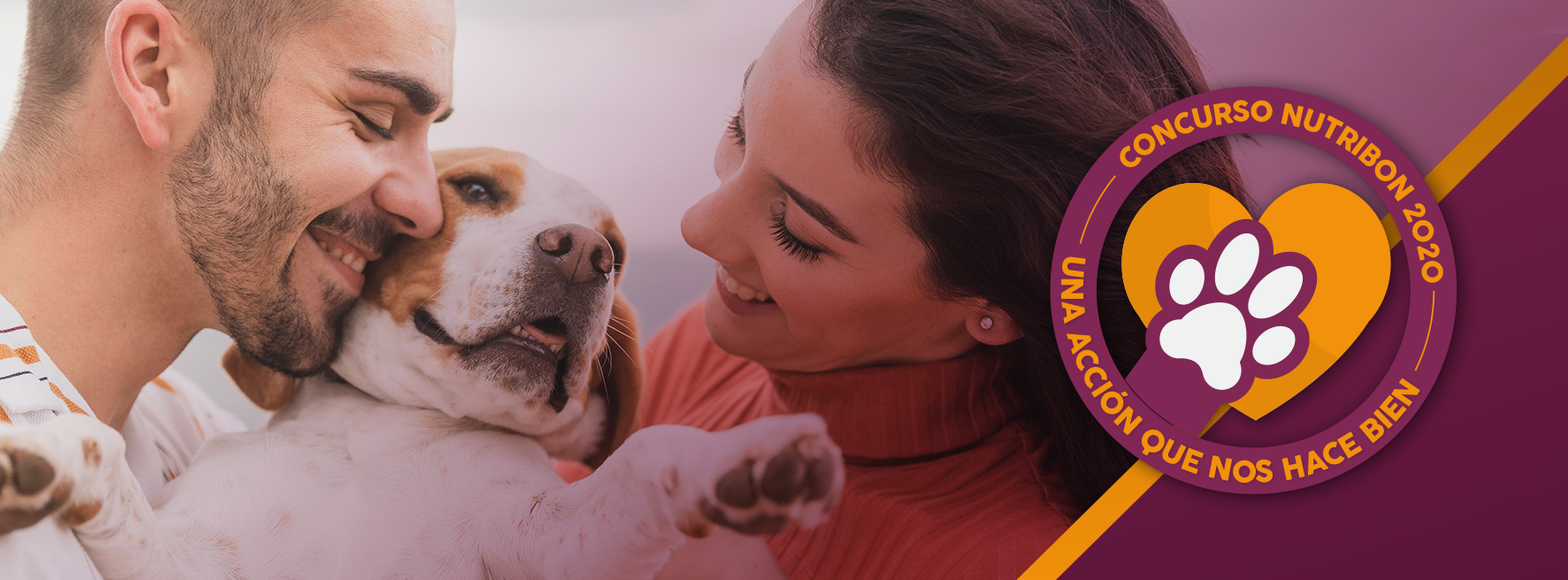 concurso protectoras nutribon alimento para mascotas octubre 2020