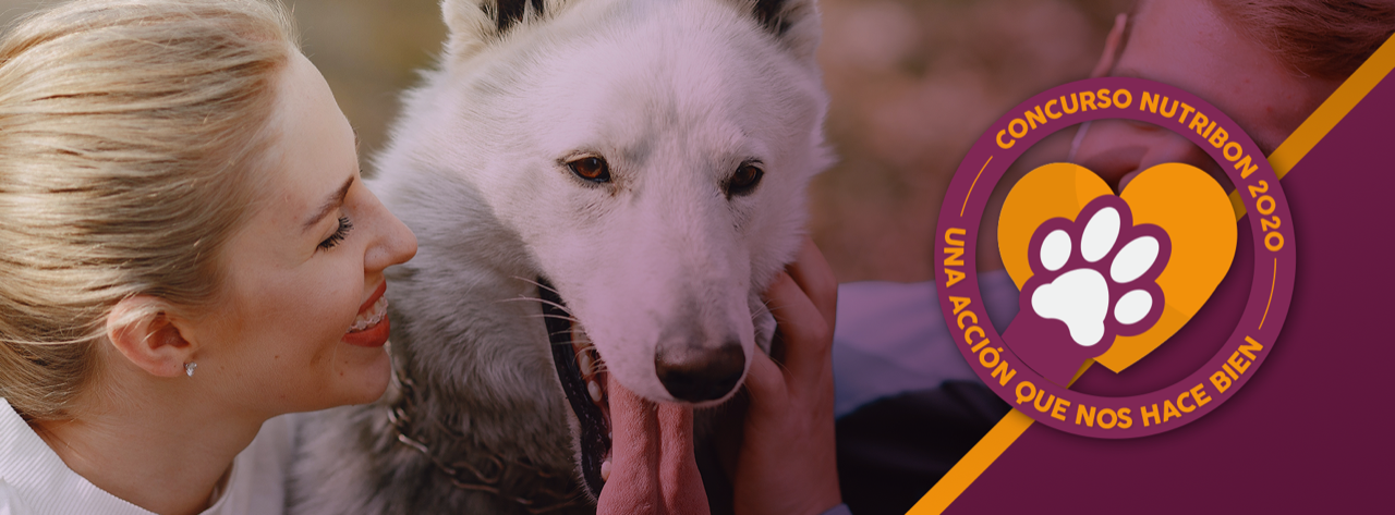 concurso protectoras nutribon alimento para mascotas noviembre 2020