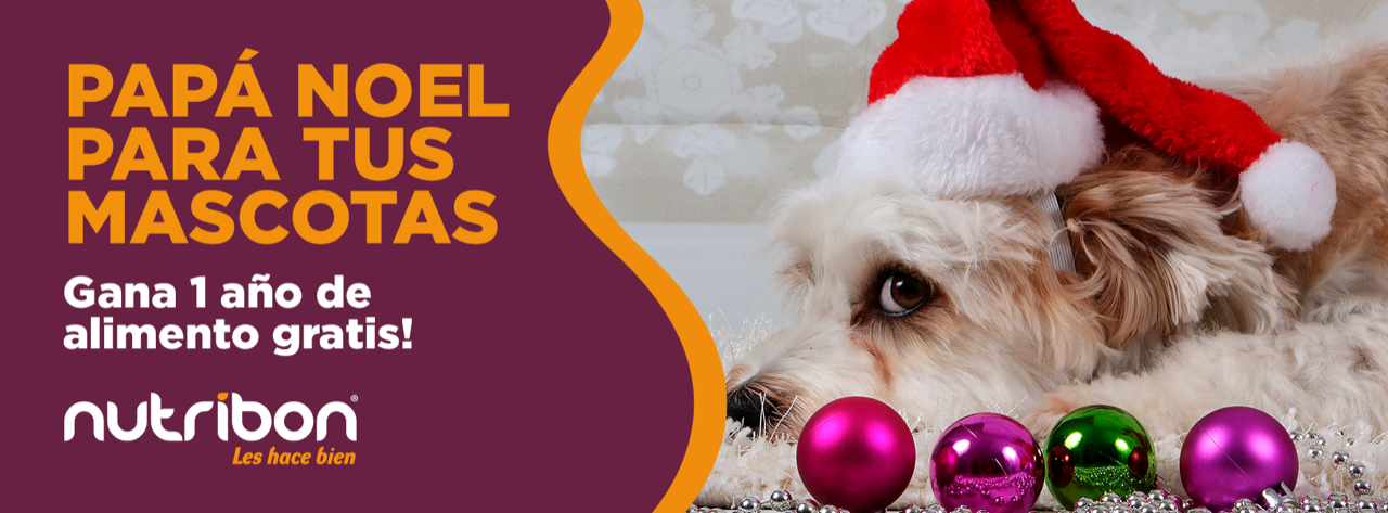 concurso papa noel llega para tu mascota alimento para perros gatos y mascotas nutribon