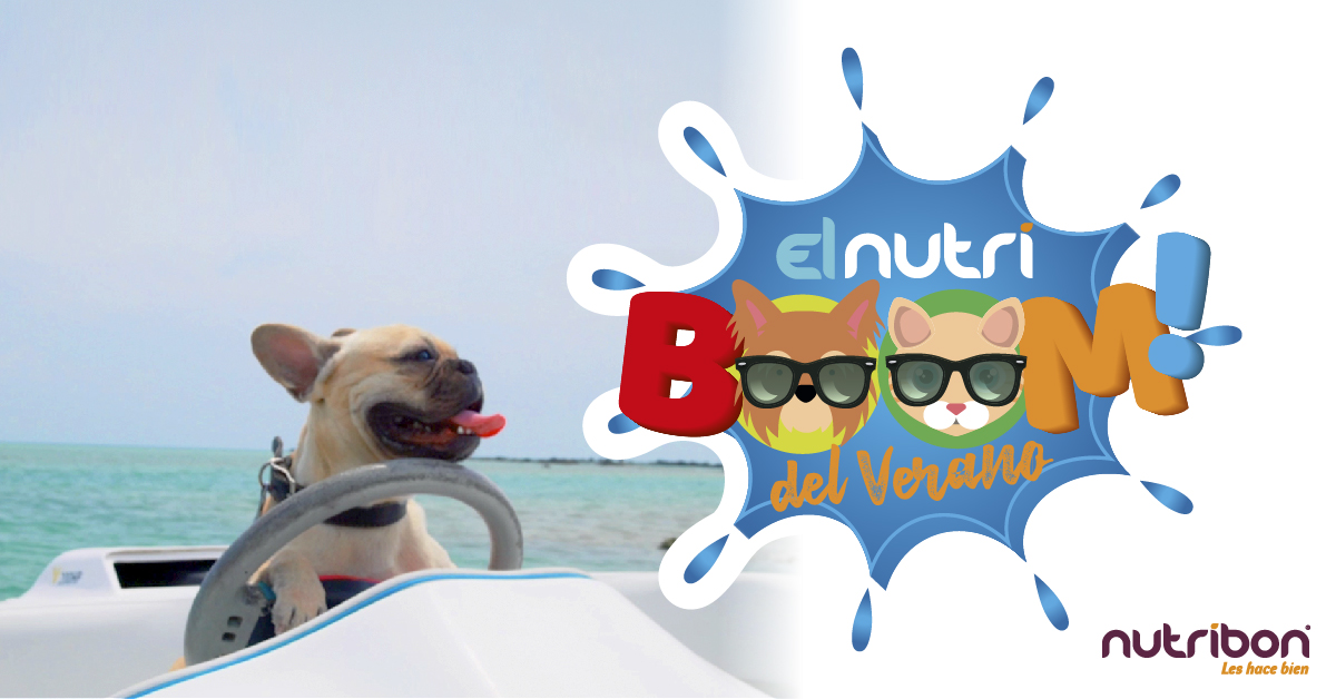 el nutriboom del verano nutribon alimento para perros y gatos