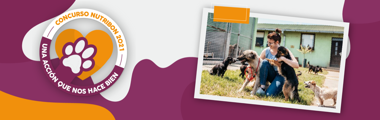 concurso protectoras nutribon alimento para mascotas