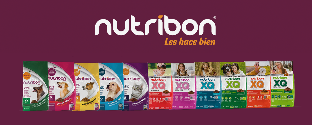 nuevo nutribon xq alimento para perros alimento para gatos y alimento para mascotas