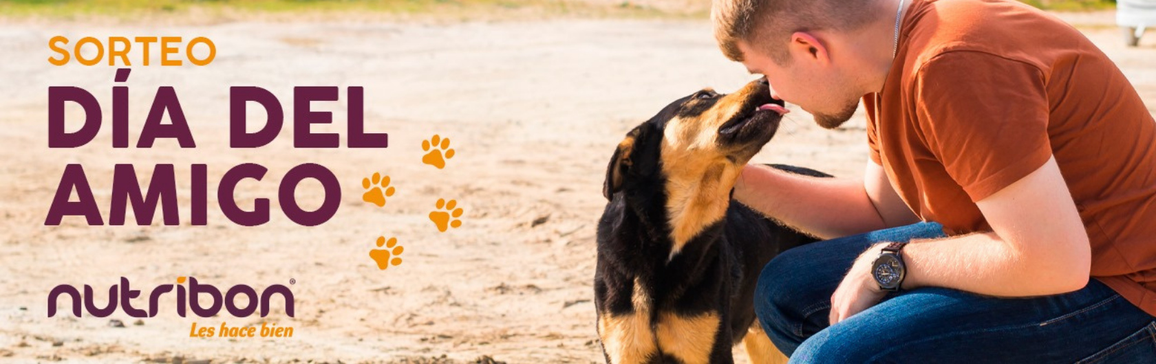 concurso dia del amigo nutribon alimento para mascotas