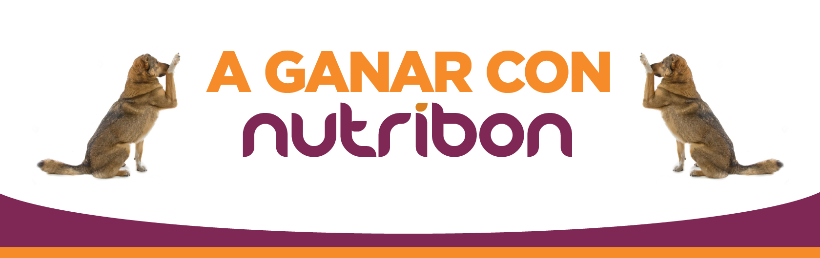 concurso nutribon alimento para mascotas septiembre