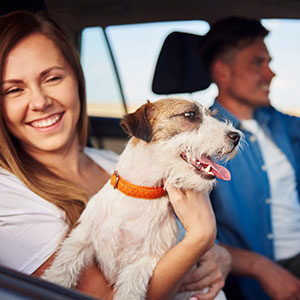 Viajar con mascotas, algunas recomendaciones