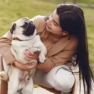 Guarderías de Mascotas y alimentos para mascotas de calidad nutribon miniatura