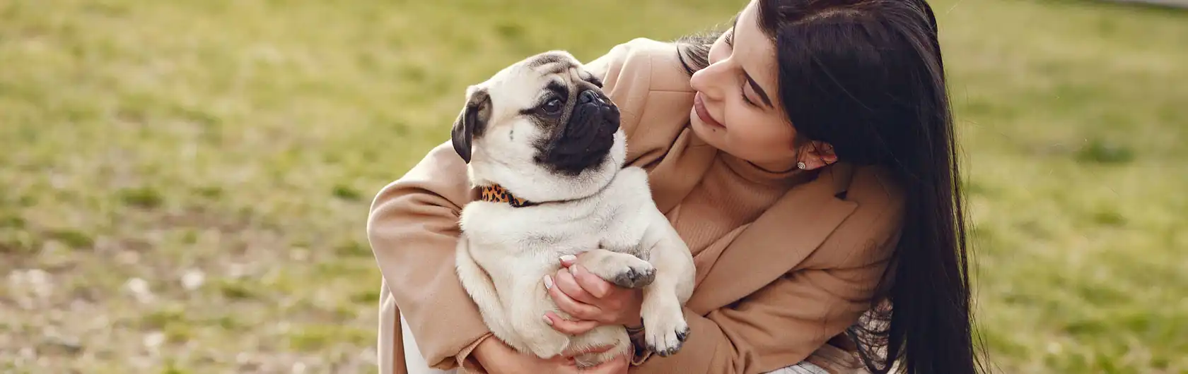 Guarderías de Mascotas y alimentos para mascotas de calidad nutribon